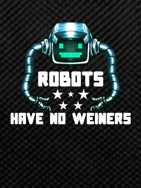 Robotics Machine Learning Engineer