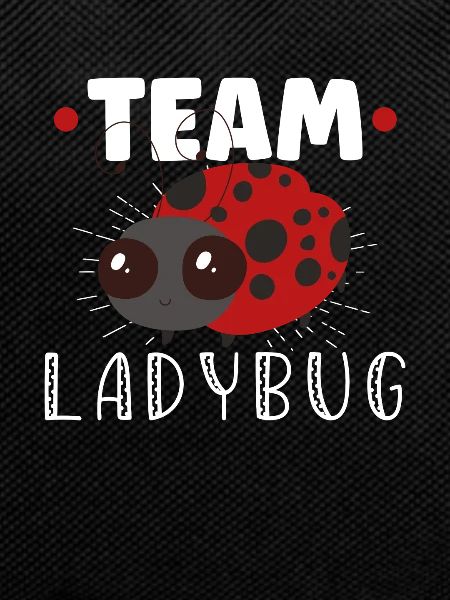 Ladybug Ladybug Entomology Insects