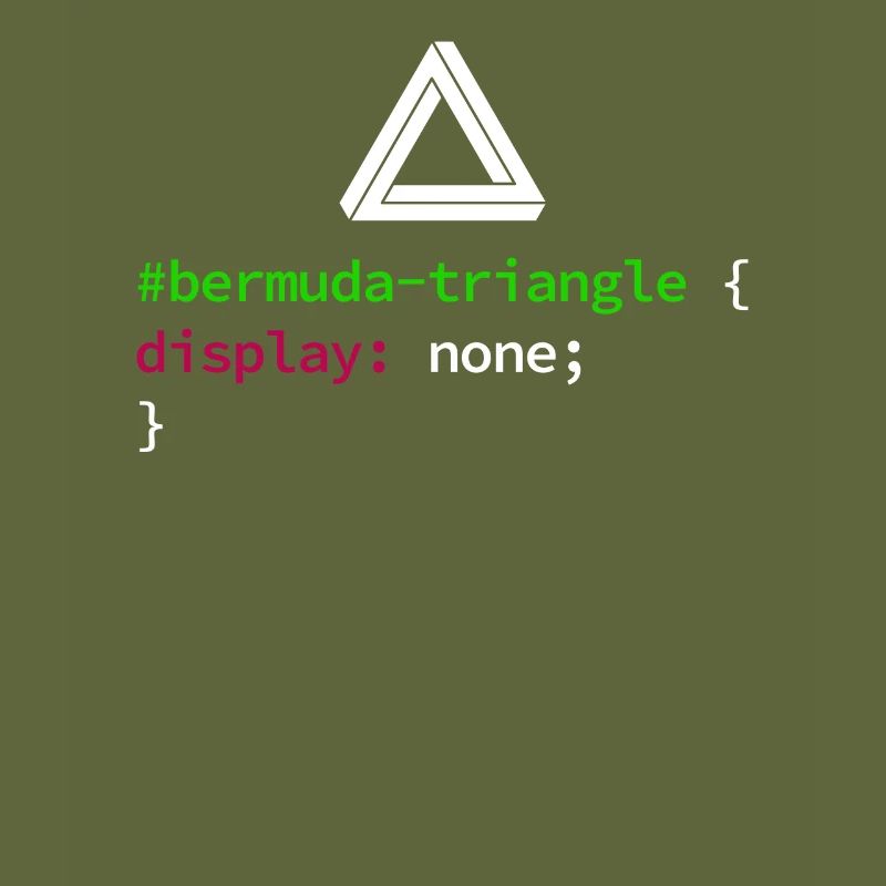 Web und CSS Programmierer Developer Coding Code