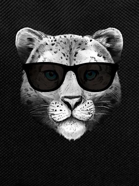 Snow leopard