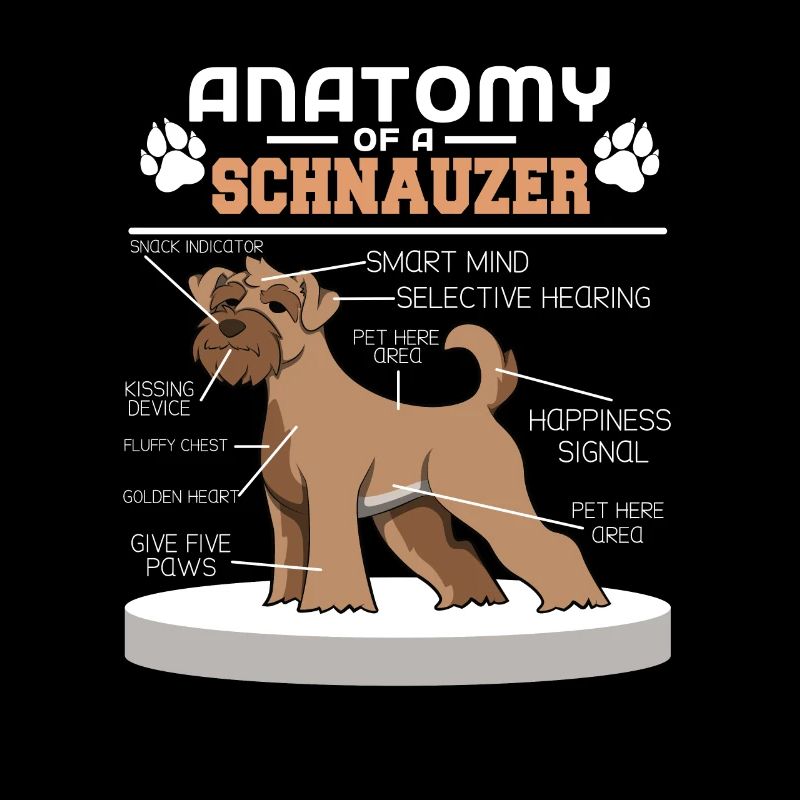 Zwergschnauzer