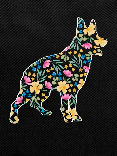 Australian Cattle Dog