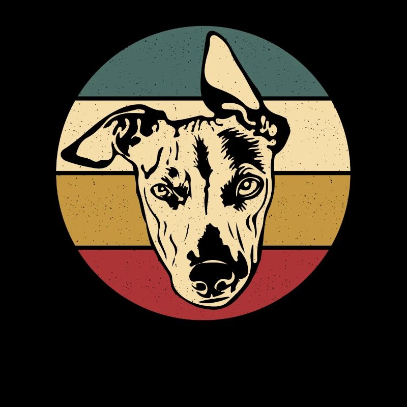 Whippet