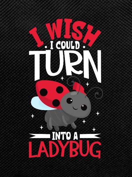 Ladybug Ladybug Entomology Insects