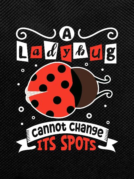 Ladybug Ladybug Entomology Insects