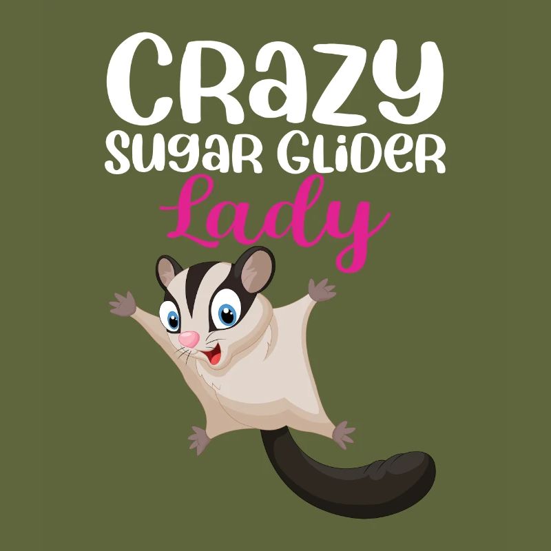 Sugar Glider Flying Squirrel