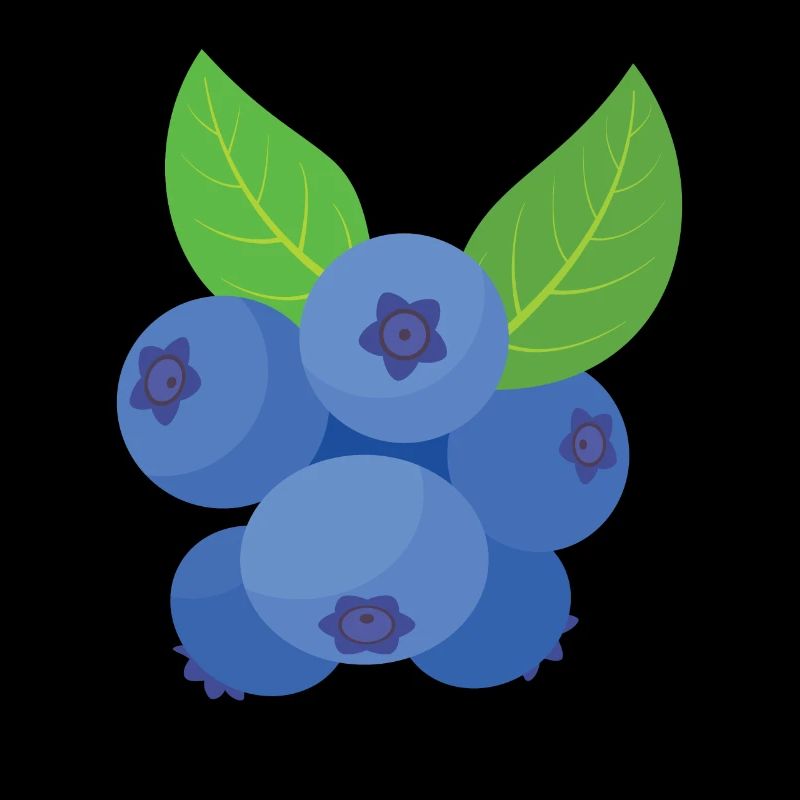 Blauberren Blauberre Geschenk