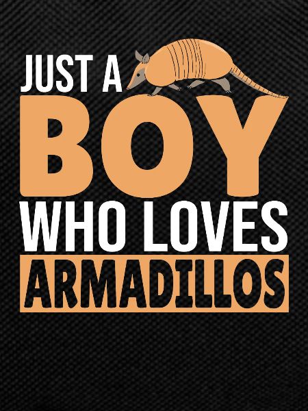 Armadillo Pet Armadillo Gift