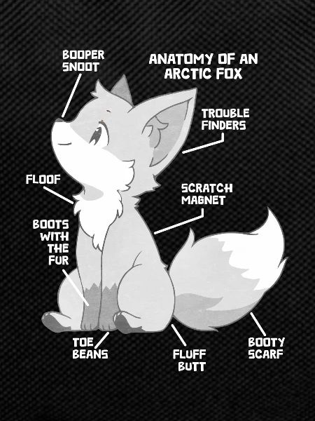 Cute arctic fox gift