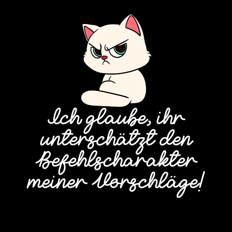 Katze Diva Befehle