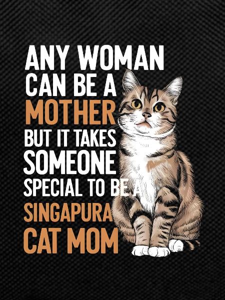 Katze Singapura Geschenk