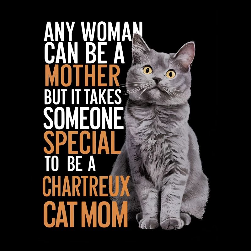 Katze Chartreux Geschenk