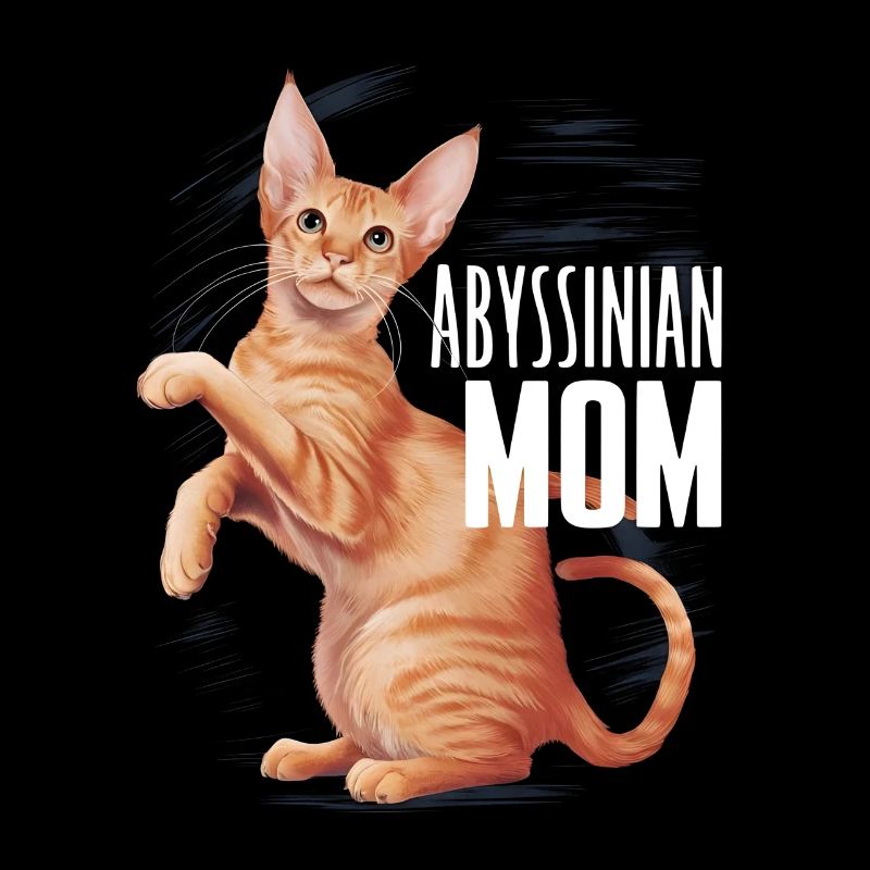 Katze Abessinier Geschenk
