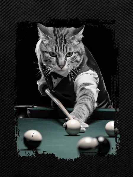 Katze spielt Billard Geschenk
