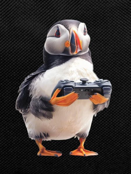 Puffin