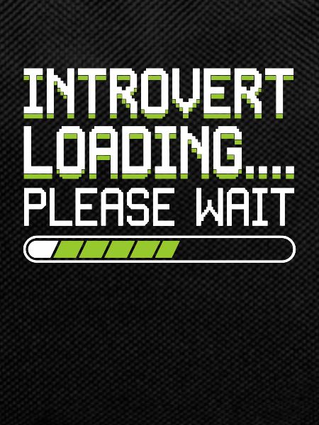 Introverted Gamer Declarer Calm