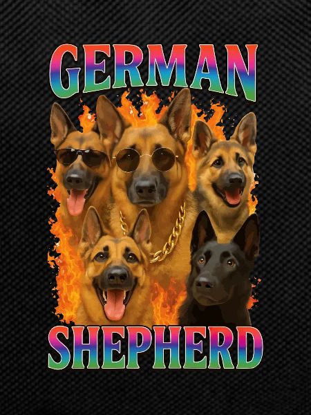 Deutscher Schäferhund
