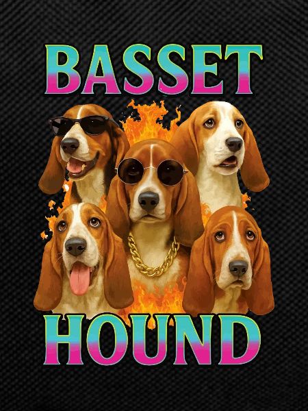 Basset