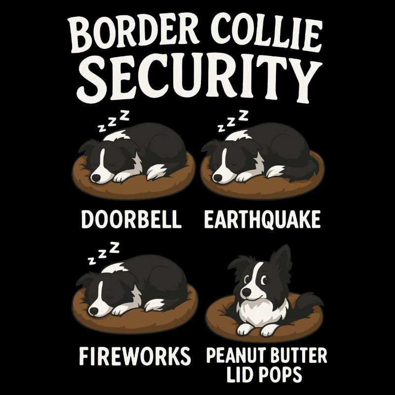 Border Collie