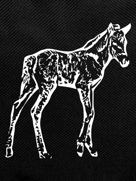 cheval
