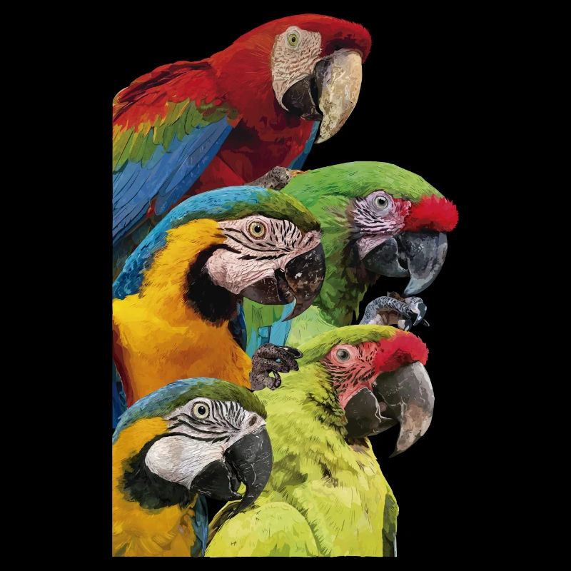 Macaws