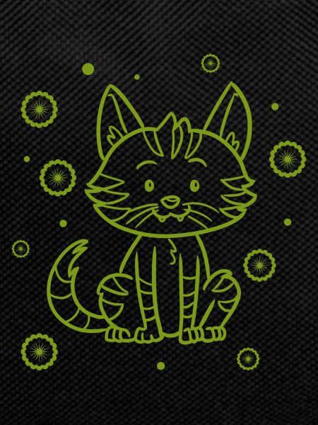 Bébé chat