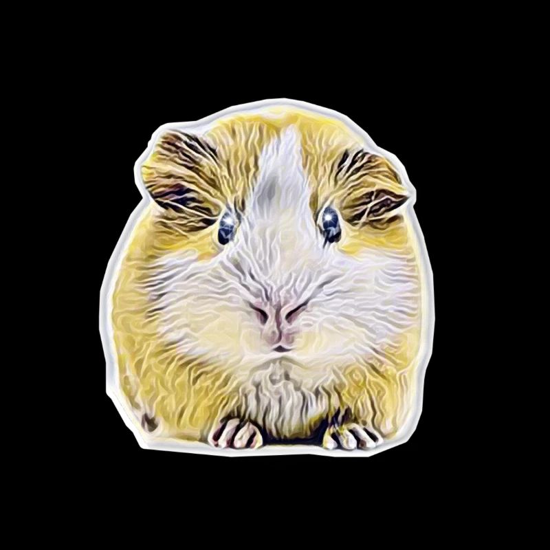 Cochon d'Inde