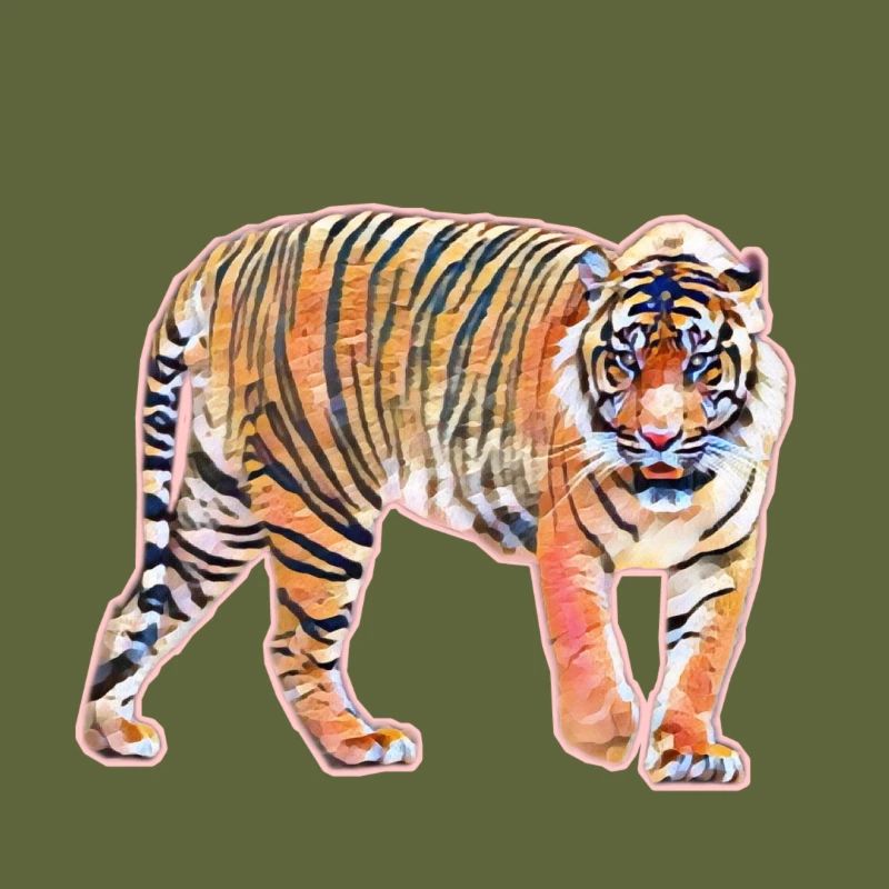 tiger