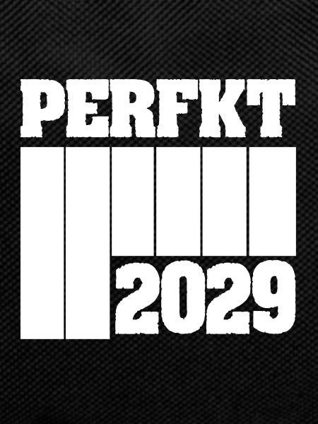 2029