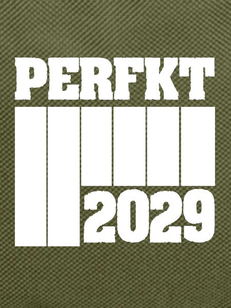 2029