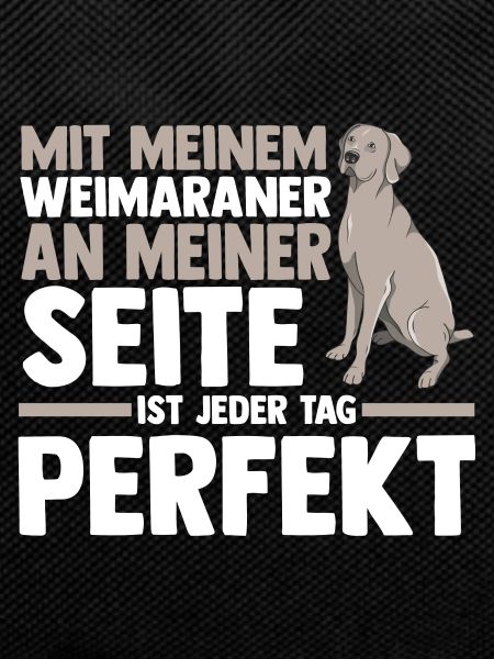 Hund Weimaraner