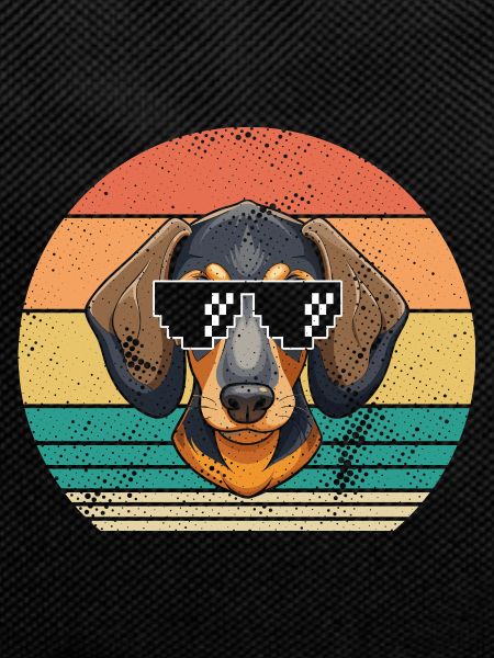 Chien teckel