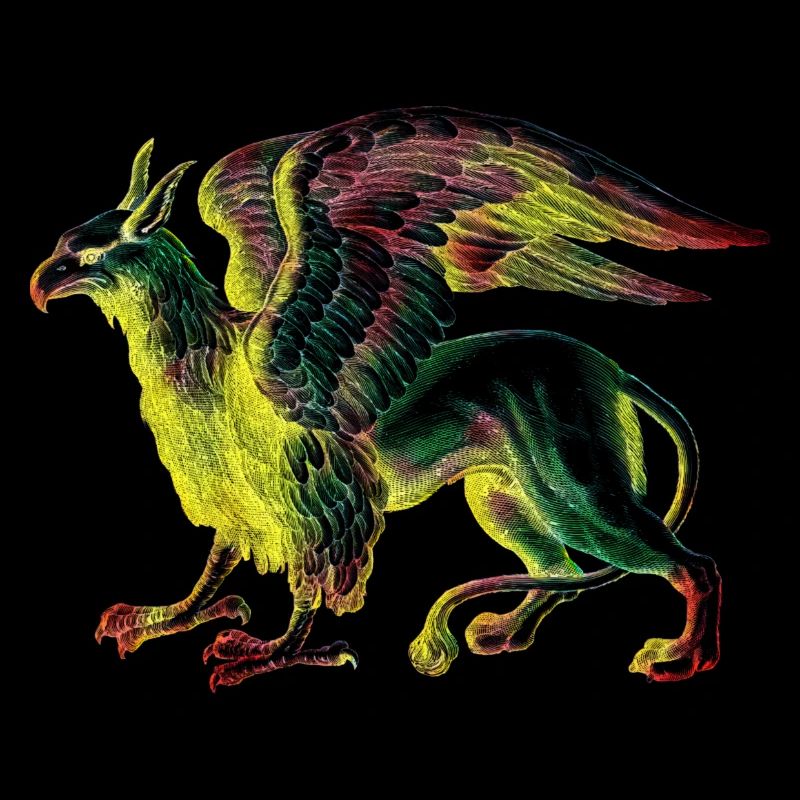 Mythical creatures colorful