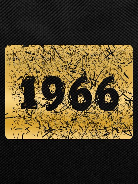 1966 1966