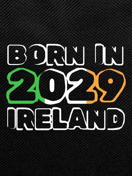 2029