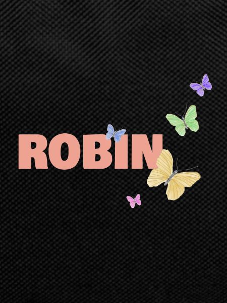 Robin Robin
