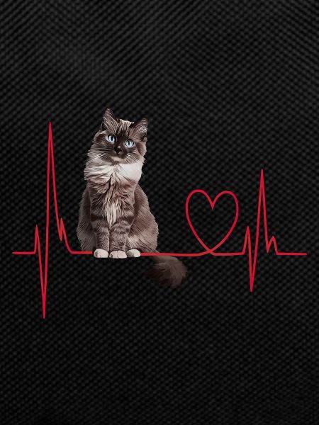 Cats Heartbeat Gift