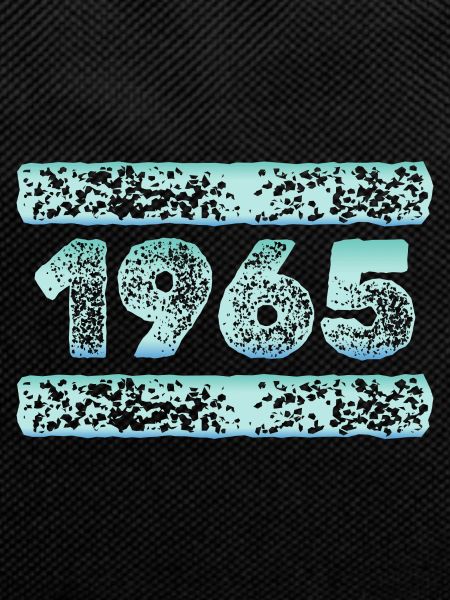 Year 1965
