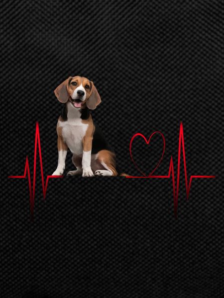 Heartbeat Gift for Dogs