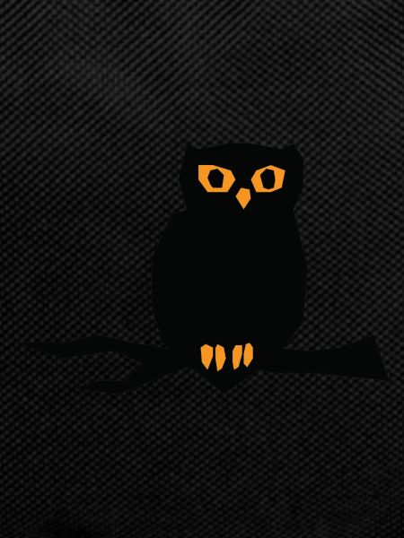 Halloween Owl