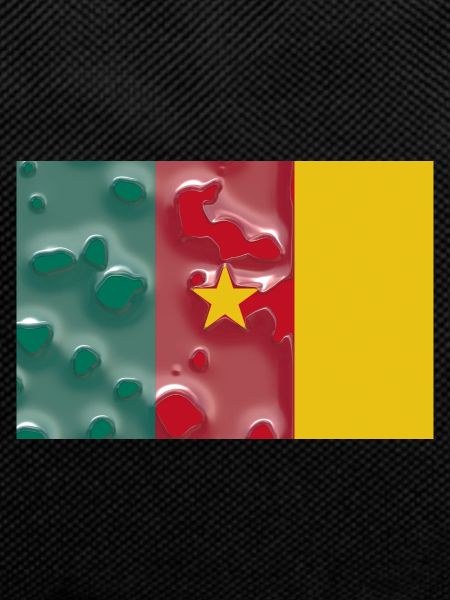 Cameroon as Cameroon
