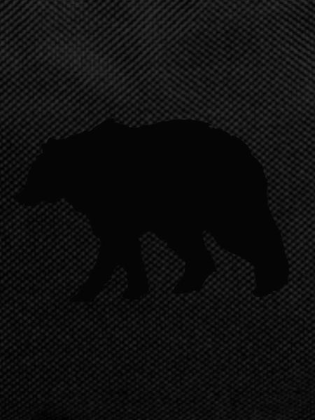 Grizzly bear (animal)
