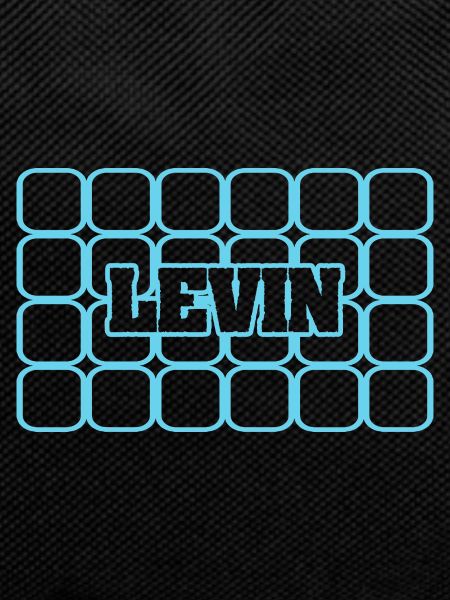 Men's name Levin