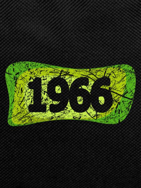 Year 1966