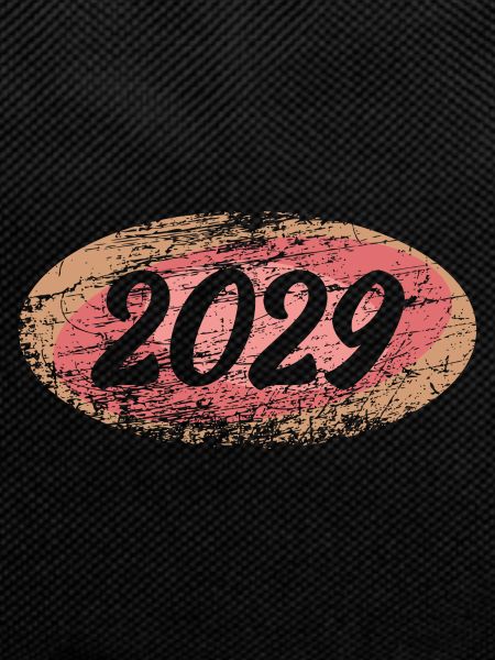 2029
