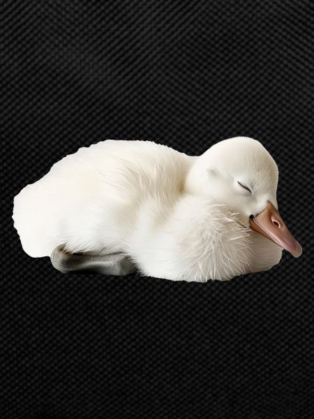 Schwan