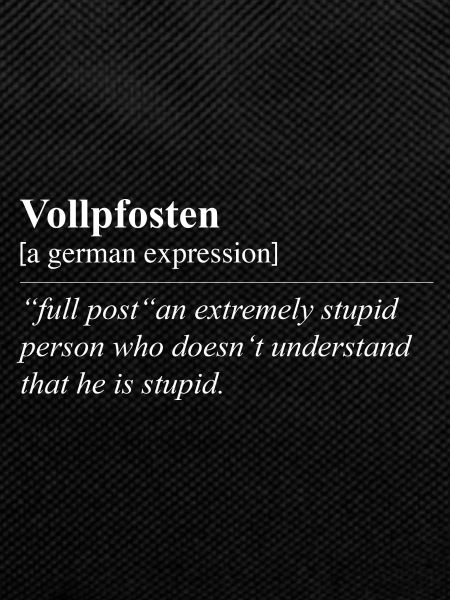 Vollpfosten Funny German Idiom