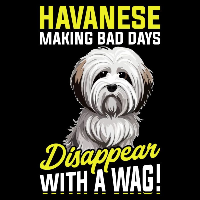 Havanese making bad days disappear with a wag