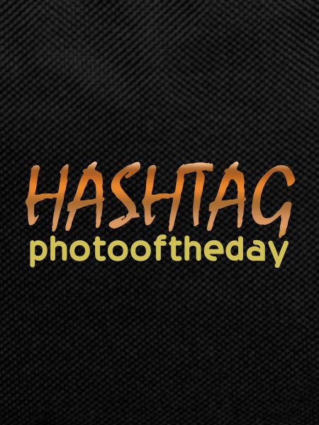 Photo Photography Photographer