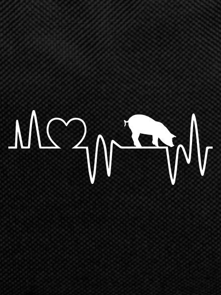 Heartbeat Pig